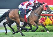 Riezo<br>Photo by Singapore Turf Club